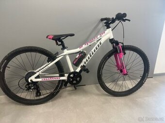 Author a-matrix SL 24