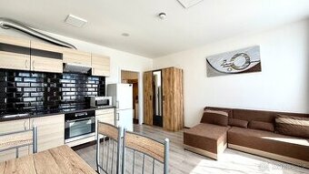 1+kk 25 m² se sklepem,  ul. Perucká