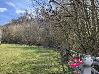 Prodej lesa 3 109 m², Luhačovice, ev.č. 58602