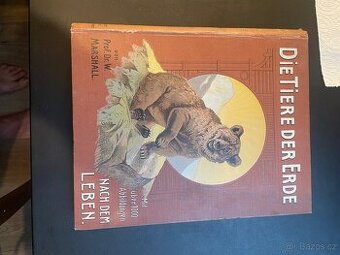 Die Tiere der Ende Prof.Dr. W Marshall