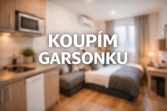 Hledám 1+kk byt nebo garsonku v Břeclavi