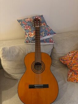 Klasická kytara Pro Arte GC-150