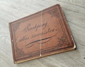 Starožitný Přírodopisný atlas živočišstva – A. Št