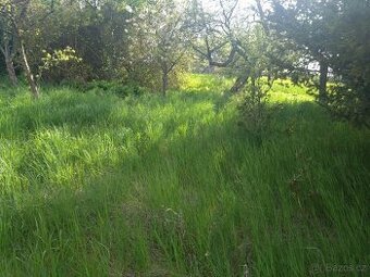 Pronájem zahrady 500 m² - Mšecké Žehrovice