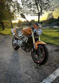 Honda Hornet