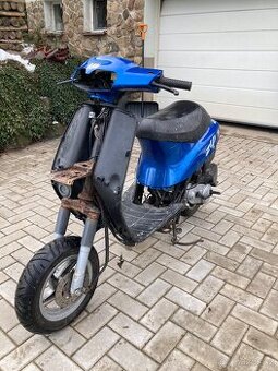 Piaggio zip ssl