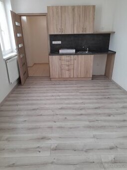 Byt 1+kk v přízemí, dvorek s možností posezení - bez RK