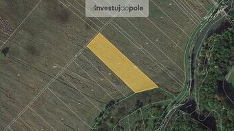 Prodej pole v k.ú. Kostice