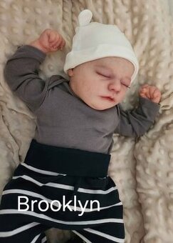 Reborn Brooklyn