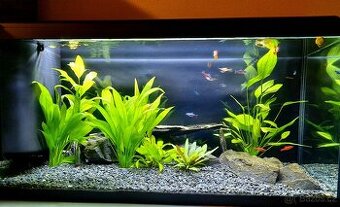 Akvarijní komplet Akvarium Aquatlantis 80l