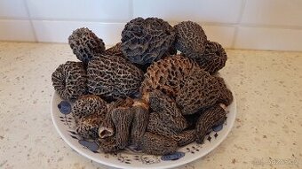 Sušené houby - smrž/smrže/Morel Mushrooms z Kanady