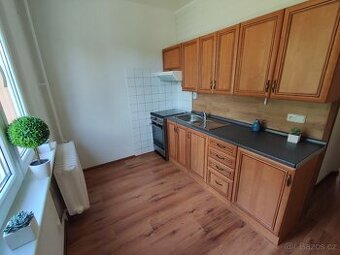 Pronájem bytu Nová Role 1+1 - 1