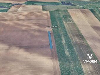 Pole 2 787 m², Podíl 33 % o výměře 929 m²