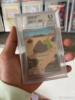 Pokemon ohodnocená karta