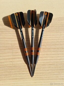 Raymond van Barneveld 26g Target darts