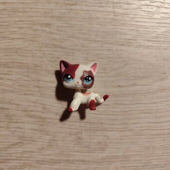 LPS Littlest Pet shop kočičky - 1