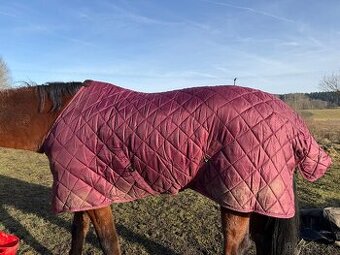Stájová deka s teddy beranem. 155cm, 150g