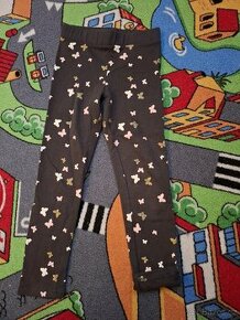 Leginy
