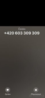 Zlaté VIP TOP číslo 603 309 309