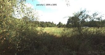 Kousek přírody na prodej – 2 967 m² u lesa, Strážovice