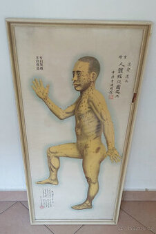 Obraz akupunkturní mapa těla - Čína 1955