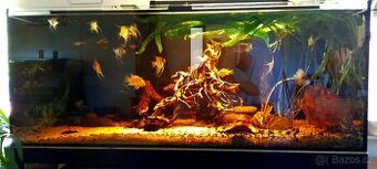 Akvárium 450L