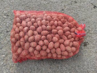 PRODÁM SADBOVÉ BRAMBORY LAURA