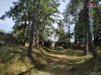 Prodej tufitového lomu, 13529 m², Razová