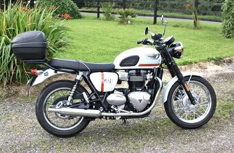Triumph t100 spirit of '59