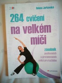 264 cvičení na velkém míči - 1