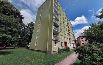 Prodej bytu 1+kk, 20 m2, panel, Mariánské Lázně