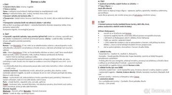 Rozbory knih k maturitě (168 souborů)