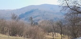 Prodej domu v obci ŽÍTKOVÁ
