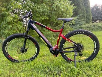 Elektrokolo cruissis