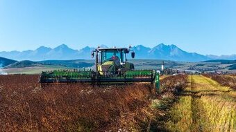 Doufázová sklizeň