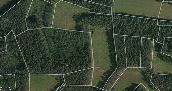 Prodej lesa Přechovice 24705m2