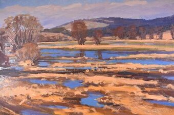 Obraz od Boh. Puchýře Podzim na Vysočině