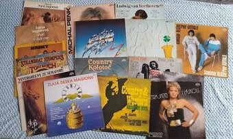 Vinylové desky ( gramofonové )