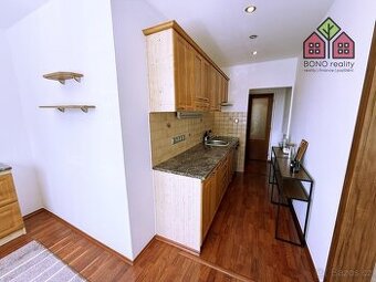 Dlouhodobý pronájem bytu 2+1, 60 m2, lodžie, sklep, Litoměři