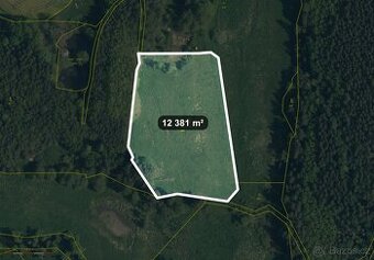 Prodej zemědělská půda, 12 381 m2 - Lom u Tachova