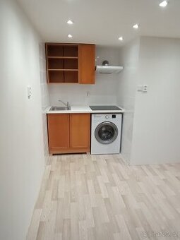 BEZ PROVIZE RK. Pronajmu atelier 1kk se zahrádkou Michle
