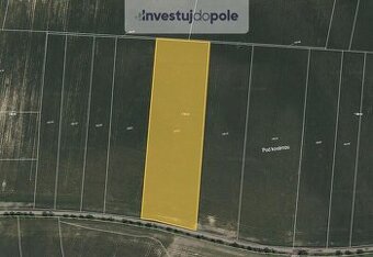 Prodej pole v k.ú. Horní Slivno - 1