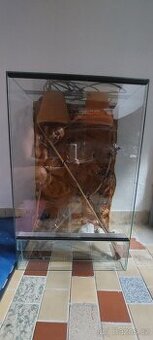 Terarium