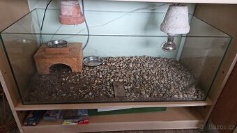 Akvárium, terárium