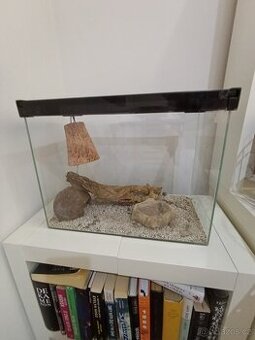 Prodám terárium