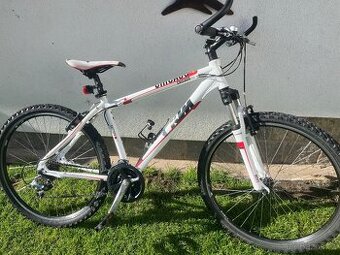 KTM horské kolo 43