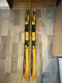 Dětské lyže 110cm - 1