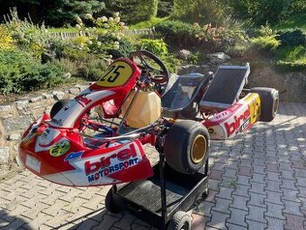 Motokára Birel KZ2