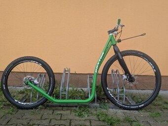 DOXTOR MUSHING F112