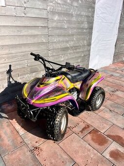 Čtyřkolka Dětská 50ccm 4t Rascal eton